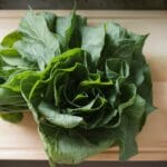"Freshly harvested green pumpkin leaves arranged on a wooden cutting board, perfect for healthy recipes."