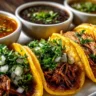 birria tacos variations with beef and chicken