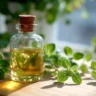 Oil of oregano in a glass bottle with fresh oregano leaves