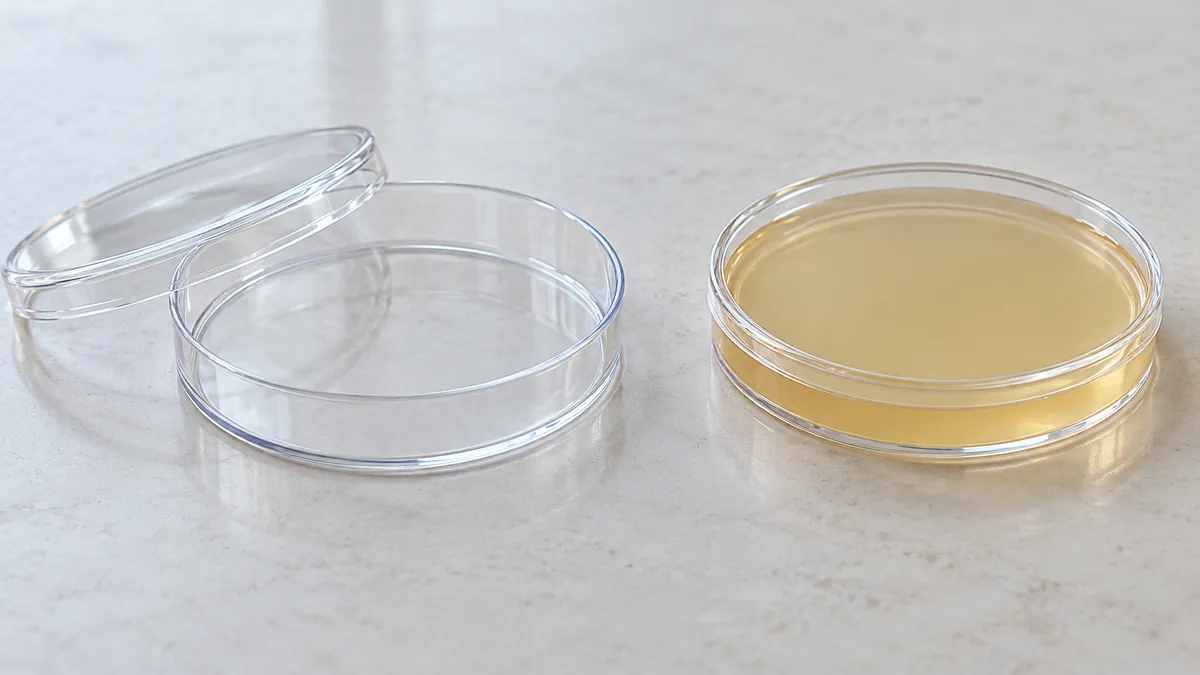Illustration comparing an empty Petri dish with a closed dish containing a gel layer
